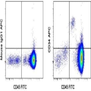 anti-CD34 Molecule (CD34) antibody (APC) avatar