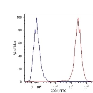 anti-CD34 Molecule (CD34) antibody avatar