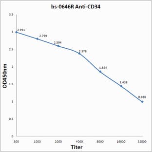 anti-CD34 Molecule (CD34) antibody avatar