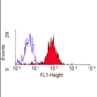 anti-CD36 Molecule (thrombospondin Receptor) (CD36) antibody avatar