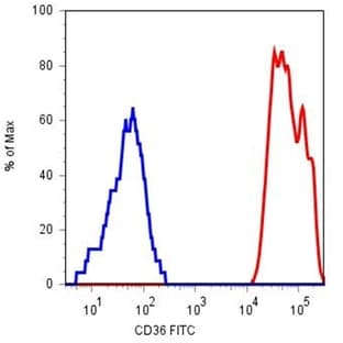 anti-CD36 Molecule (thrombospondin Receptor) (CD36) antibody avatar