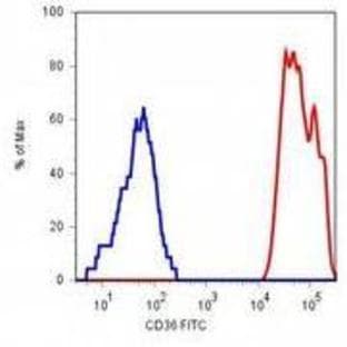 anti-CD36 Molecule (thrombospondin Receptor) (CD36) antibody (PE) avatar