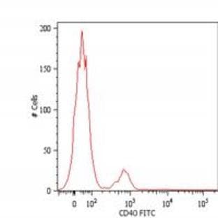 anti-CD40 Molecule, TNF Receptor Superfamily Member 5 (CD40) antibody (FITC) avatar