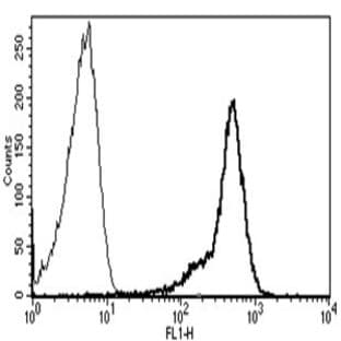 anti-CD44 (CD44) antibody avatar