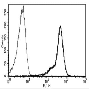 anti-CD44 (CD44) antibody avatar