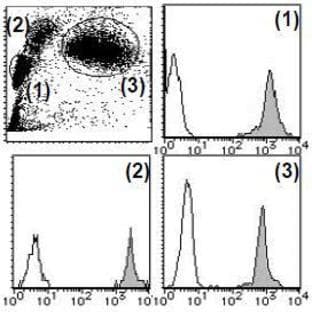 anti-CD44 (CD44) antibody (PE) avatar