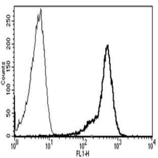 anti-CD44 (CD44) antibody (FITC) avatar