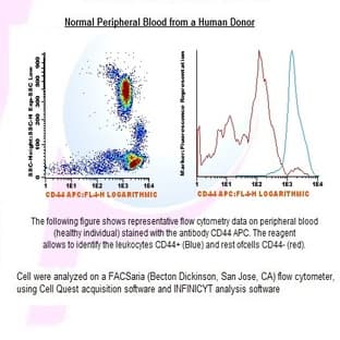 anti-CD44 (CD44) antibody (APC) avatar