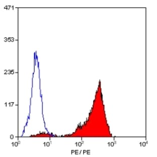 anti-CD44 (CD44) antibody (PE) avatar