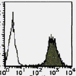 anti-CD44 (CD44) antibody (FITC) avatar