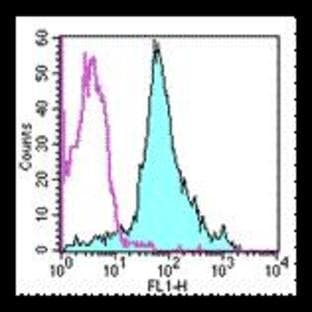 anti-CD44 (CD44) antibody (FITC) avatar