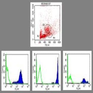anti-CD44 (CD44) antibody (PE) avatar