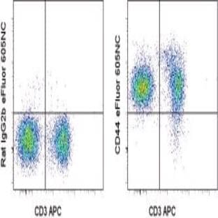 anti-CD44 (CD44) antibody (EFluor 605NC) avatar