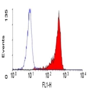 anti-CD53 (CD53) antibody avatar