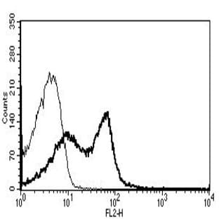 anti-CD58 Molecule (CD58) antibody (PE) avatar