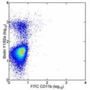 anti-CD68 Molecule (CD68) antibody (Biotin) avatar