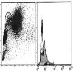 anti-CD151 Molecule (Raph Blood Group) (CD151) antibody avatar