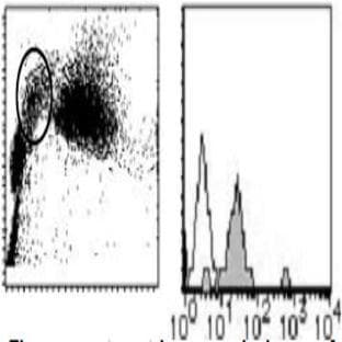 anti-CD151 Molecule (Raph Blood Group) (CD151) antibody (PE) avatar