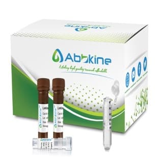 LinKine™ AbFluor™ 350 Labeling Kit avatar