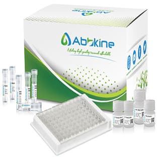 EliKine™ Mouse IL-4 ELISA Kit avatar