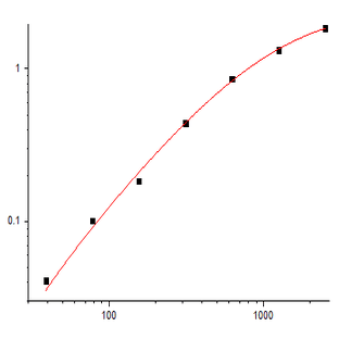 EliKine™ Rat IFN-? ELISA Kit avatar