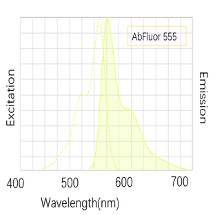 Anti-GAPDH Mouse Monoclonal Antibody (2B5) , AbFluor™ 555 Conjugated avatar