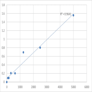 Human Synaptopodin (SYNPO) ELISA Kit avatar