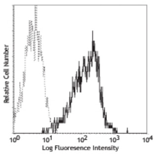 PE anti-human CD1a