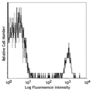 PE/Cy5 anti-human CD19