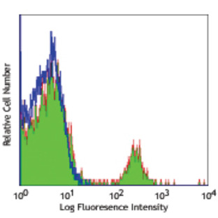 PE/Cy7 anti-human CD19