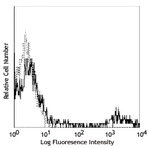 PE/Cy5 anti-human CD20