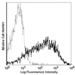 PE/Cy7 anti-human CD25