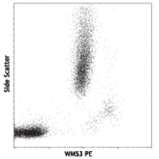 PE anti-human CD33