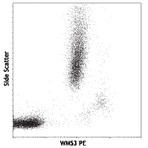 PE anti-human CD33