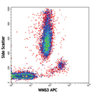 APC anti-human CD33