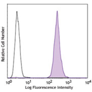 PE/Cy7 anti-human CD41