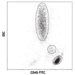 FITC anti-human CD45