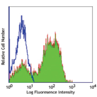 FITC anti-human CD62L