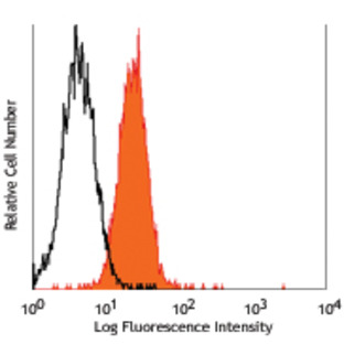 PE/Cy7 anti-human CD80