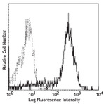 PE anti-human CD83