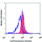 PE/Cy7 anti-human CD86