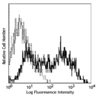 PE anti-human CD106