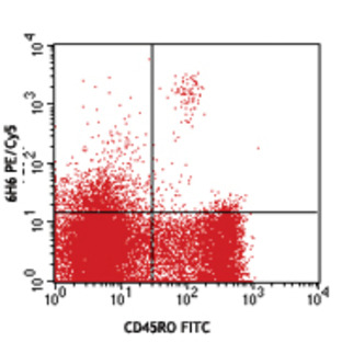 PE/Cy5 anti-human CD123