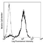 PE anti-human CD131