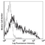 PE anti-human CD137 (4-1BB)