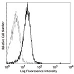 PE anti-human CD129 (IL-9 R)