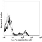 PE anti-human CD40