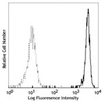 PE anti-human CD181 (CXCR1)