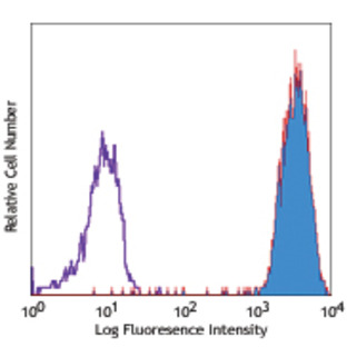 PE/Cy5 anti-human CD181 (CXCR1)