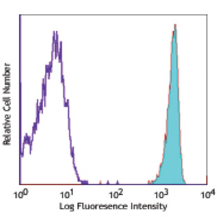 APC anti-human CD181 (CXCR1)